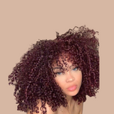 Afro Curly Ombre Dark Brown Clip-In Extensiones 99J