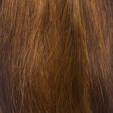 Extensión de clip 100% natural Banda mono de chocolate recta