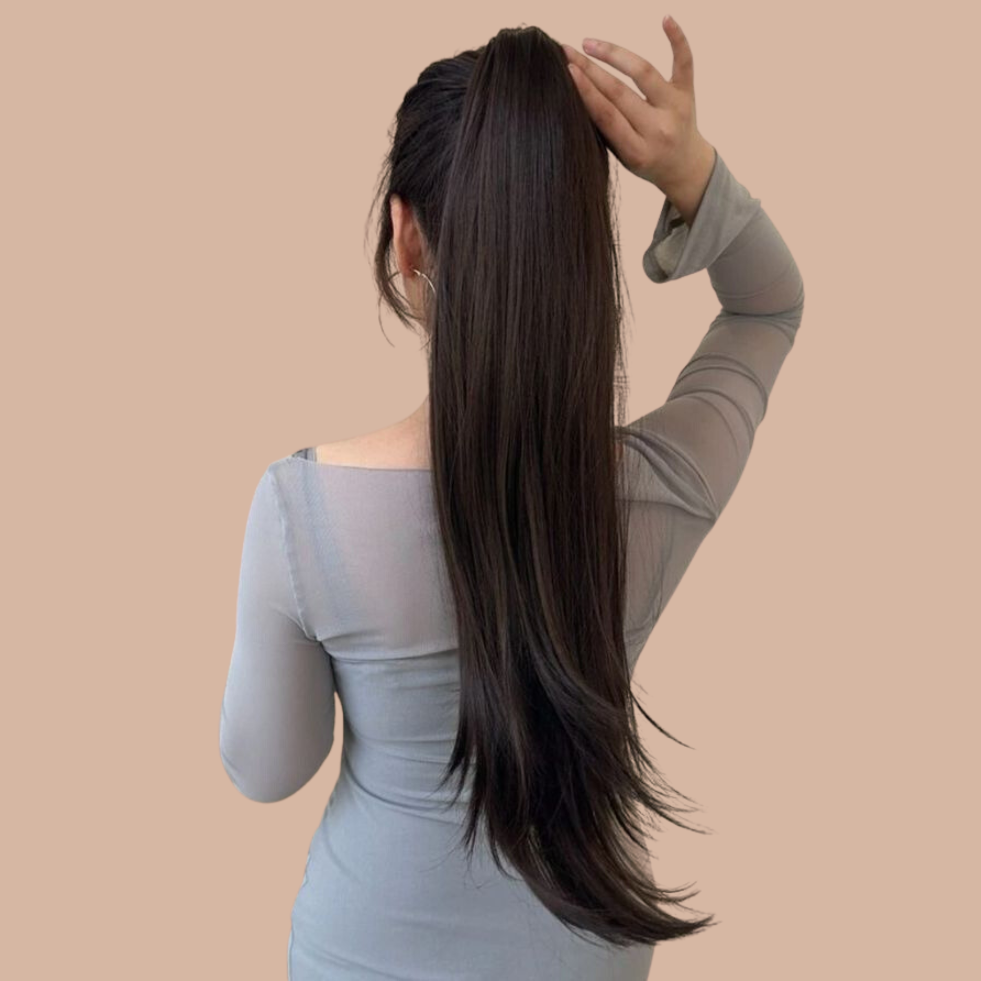 Raide ponytail / ponytail